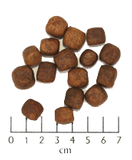 Wolfsblut - Dark Forest